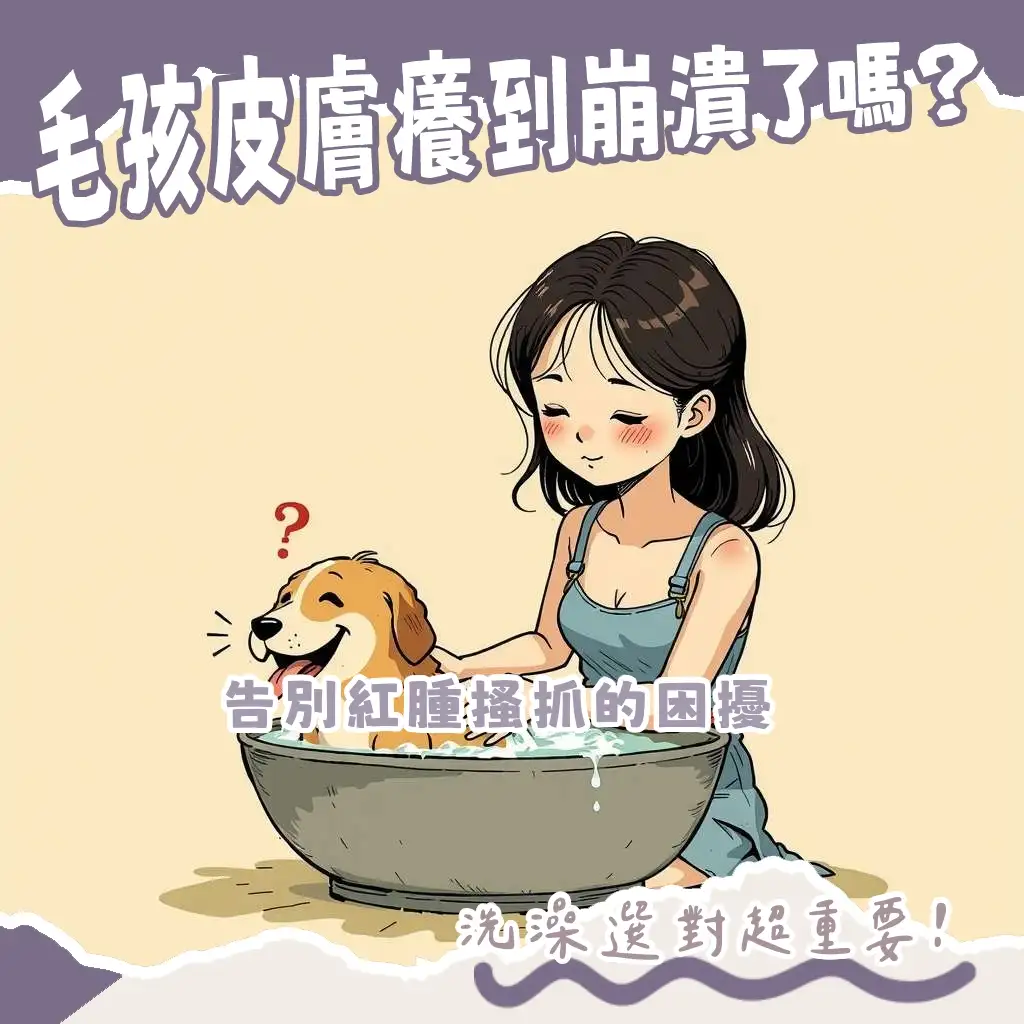 選擇寵物洗澡乳，依毛孩膚質與毛髮狀況，提供溫和滋潤清潔與皮膚護理的完整指南。