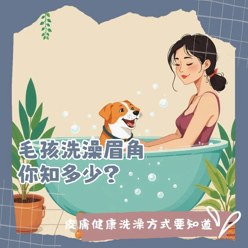 狗狗多久洗澡一次？寵物洗澡頻率、清潔與皮膚護理指南，讓毛孩保持健康。