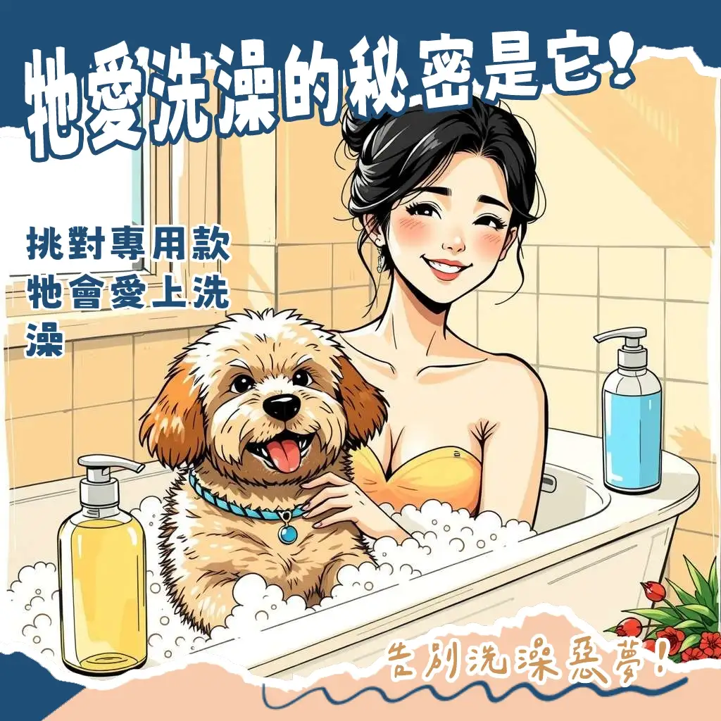 一隻狗狗洗完澡後毛髮蓬鬆、笑容燦爛的圖片，搭配寵物洗澡沐浴乳的選購指南與皮膚護理知識，讓毛孩健康又快樂。