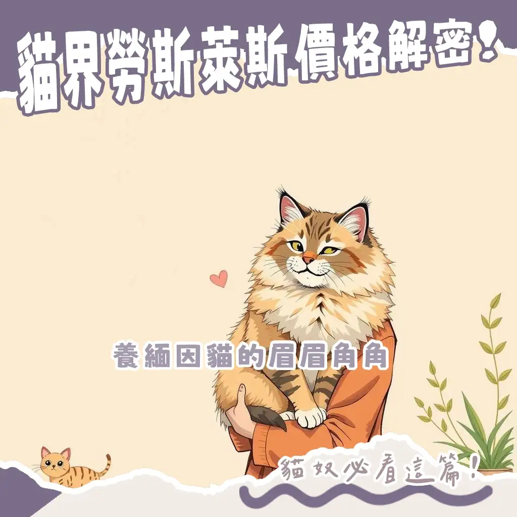 緬因貓幼貓價格分析，大型長毛貓飼養成本，貓舍選擇與購買注意事項指南。