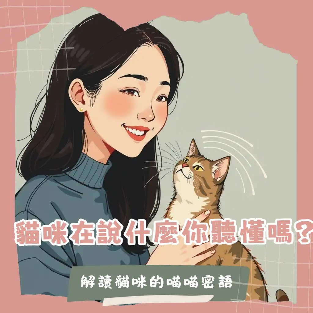 貓叫聲溝通技巧圖解,學習喵嗚、呼嚕等聲音,理解貓咪情緒與行為。