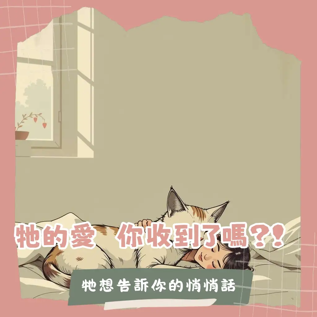 貓咪彌留狀態的徵兆與照顧指引，包含精神萎靡、食慾廢絕、體溫下降等，陪伴毛孩安詳告別。