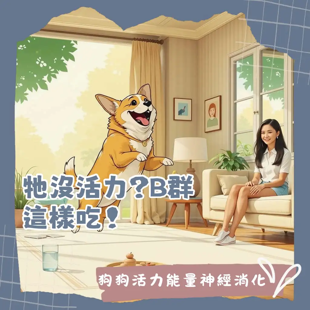 狗狗吃B群有益健康，本指南分享狗狗維生素B群功效、補充時機與注意事項，助毛孩活力滿滿。