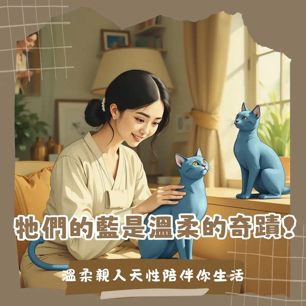 尋找最溫柔的「藍色貓」：毛色迷思與飼養陪伴指南