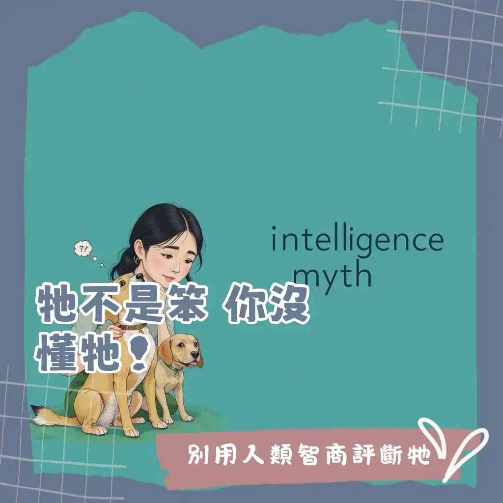 狗狗智力迷思與常見誤解，破除哪種狗最笨的刻板印象，了解犬種特性與訓練方法。