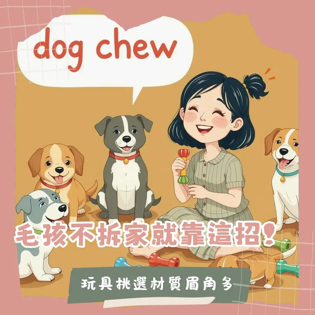 狗狗耐咬玩具挑選指南：材質安全、潔牙功能與尺寸選擇大綱